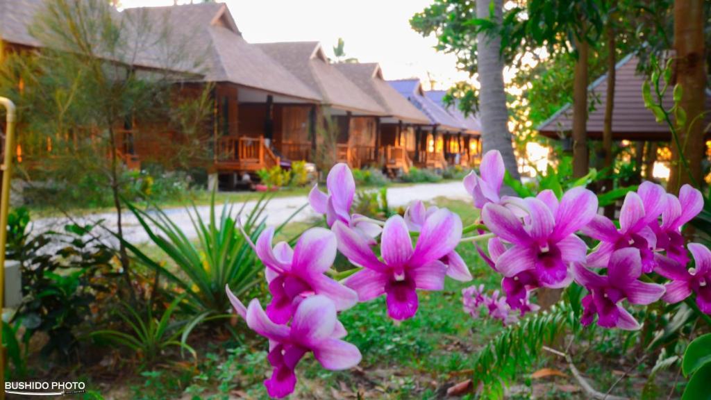 Baanchaylay Resort Khanom Phòng bức ảnh